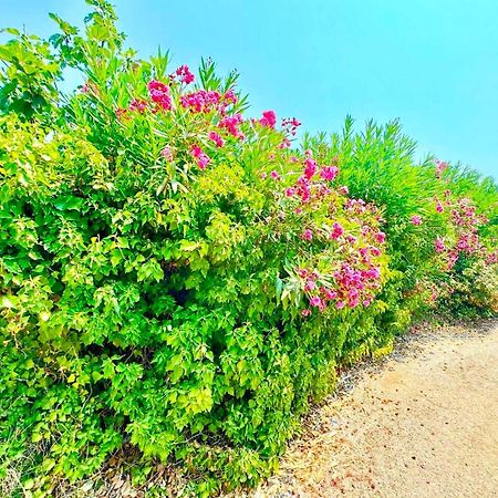 Tetraktys Estate Beachside Υδωρ Ágios Matthaíos Kültér fotó
