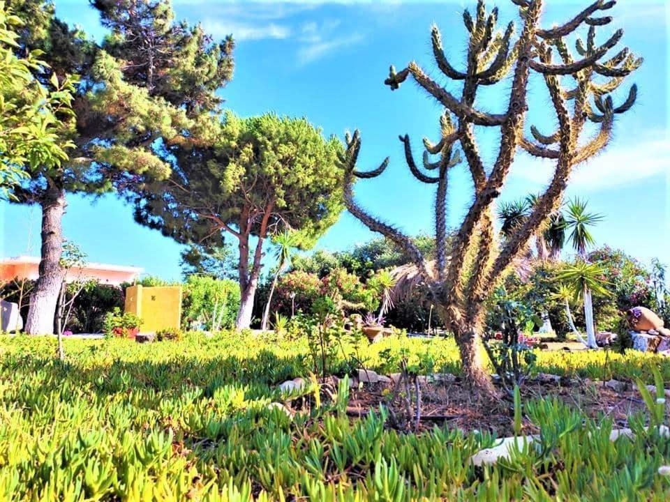 Tetraktys Estate Beachside Υδωρ Ágios Matthaíos Kültér fotó