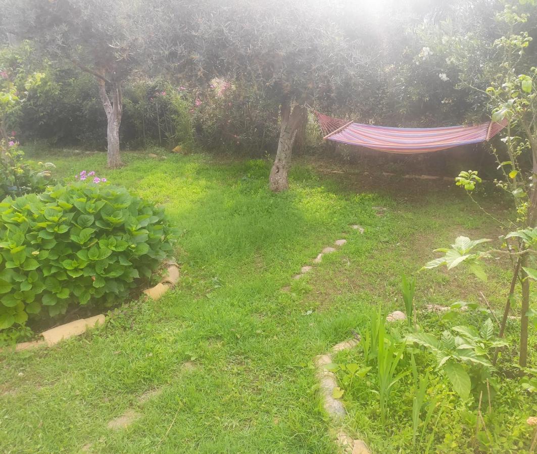 Tetraktys Estate Beachside Υδωρ Ágios Matthaíos Kültér fotó