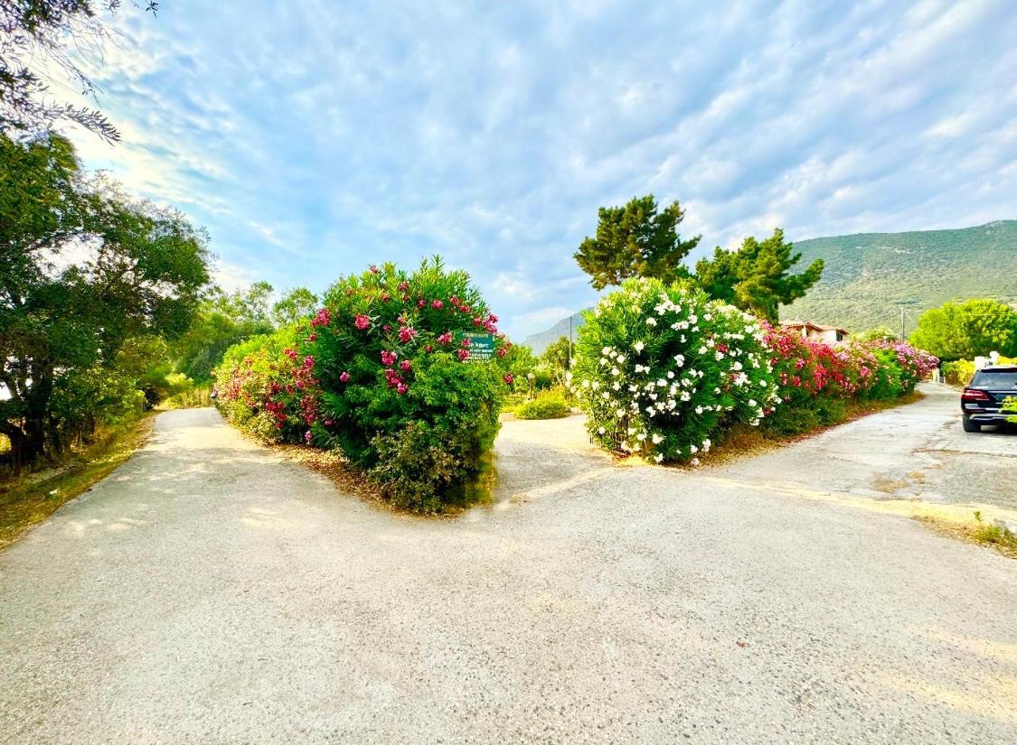 Tetraktys Estate Beachside Υδωρ Ágios Matthaíos Kültér fotó