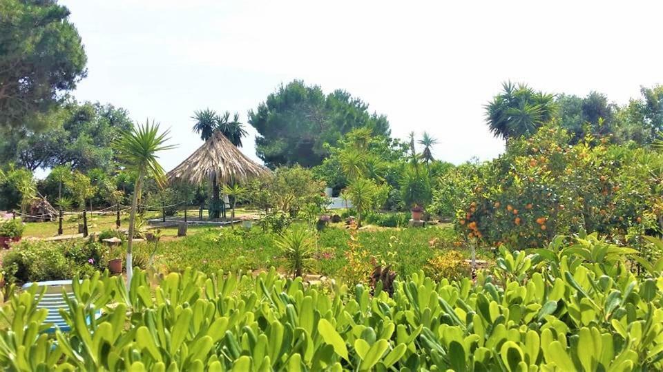 Tetraktys Estate Beachside Υδωρ Ágios Matthaíos Kültér fotó